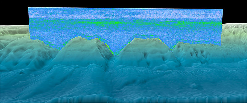 Image of a sonar scan taken in the North Atlantic. The backscattered signal (green) above the bottom is likely the deep scattering layer. Image of a sonar scan taken in the North Atlantic. The backscattered signal (green) above the bottom is likely the deep scattering layer.