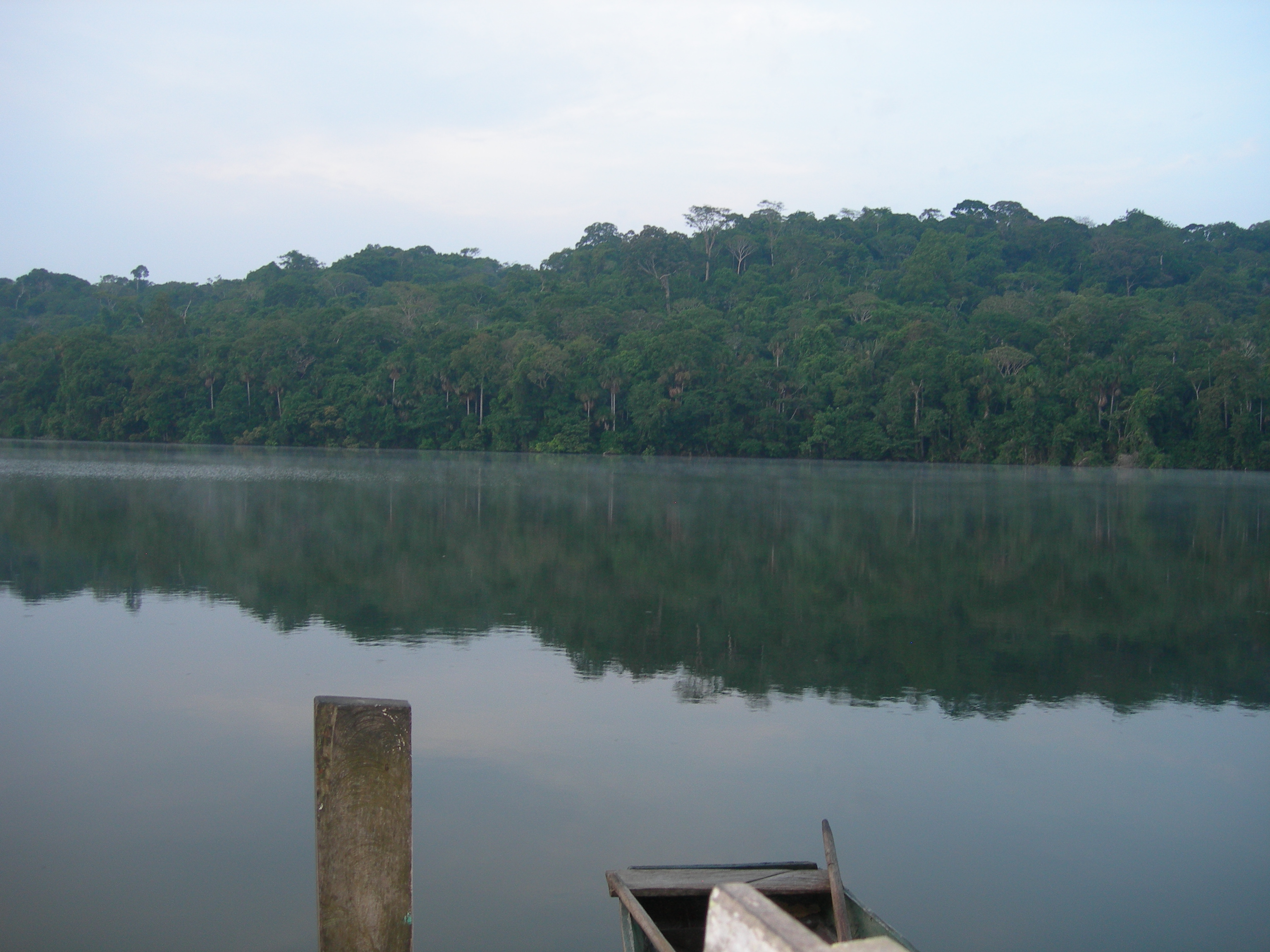 Chalalan Lake, Madidi National Park, Tuichi River, Bolivia Chalalan Lake, Madidi National Park, Tuichi River, Bolivia